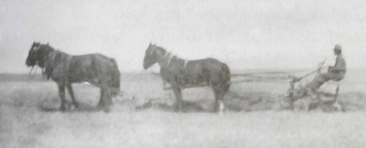 Plowing with Horses